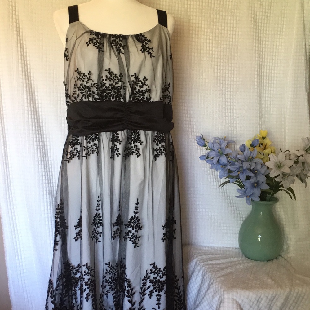 Beautiful Formal Plus-Sized Dress w/Velvet Overlay